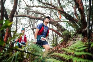 BIB: 
                            <button type="button" onclick="openModal(26298119)" class="btn btn-primary btn-sm float-right btn-popup" data-toggle="modal" data-target=".modal-high-quality">
                        <i class="fas fa-shopping-cart"></i> Add to Cart
                    </button>
                                            <button type="button" onclick="isThisMe(26298119, true)" class="btn btn-success btn-sm float-right btn-popup btn-isme hidden" data-toggle="tooltip" data-placement="bottom" title="นี่คือรูปของคุณใช่ไหม คลิกที่นี่เพื่อเอาเข้าอัลบั้ม">
                        <i class="fas fa-plus"></i> Add to album
                    </button>
                    <button type="button" onclick="isThisMe(26298119, false)" class="btn btn-warning btn-sm float-right btn-popup btn-isnotme hidden">
                        <i class="fas fa-ban"></i> Remove from album
                    </button>